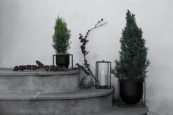 By Lassen Pot De Fleurs Kubus 23, Noir 10 By Lassen Pot De Fleurs Kubus 23, Noir -Décoration D'Intérieur 132C1 IMGL9991