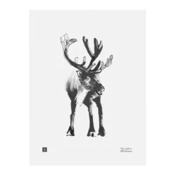 Teemu Järvi Illustrations Affiche Reindeer, 30 X 40 cm