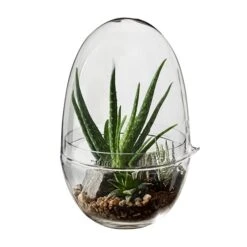 Design House Stockholm Mini-serre Grow, M