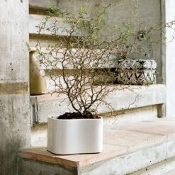 Artek Pot De Fleurs Riihitie A, Petit Modèle, Blanc Brillant -Décoration D'Intérieur 398Artek iso FV