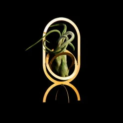 Fundamental Berlin Porte-plantes Air Trophy, Laiton 10 Fundamental Berlin Porte-plantes Air Trophy, Laiton -Décoration D'Intérieur AIR TROPHY black