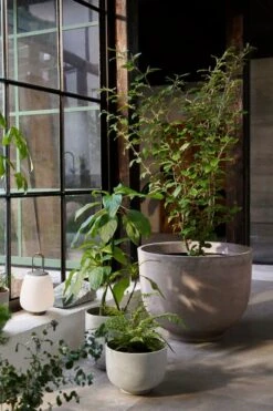 &Tradition Pot De Fleurs Collect SC70, 15 x 18 cm, Lait 8 &Tradition Pot De Fleurs Collect SC70, 15 x 18 cm, Lait -Décoration D'Intérieur ATD 2021 Retail Collect Planter SC43 SC71 SC72 Lucca SC51