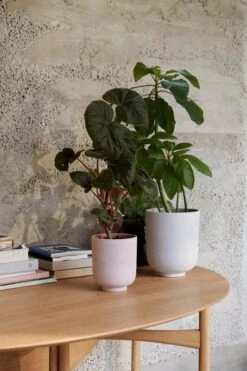 &Tradition Pot De Fleurs Collect SC70, 15 X 18 cm, Sienna 5 &Tradition Pot De Fleurs Collect SC70, 15 X 18 cm, Sienna -Décoration D'Intérieur ATD 2021 Retail Collect Planter SC70SC72 Drop Leaf HM6