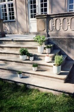 &Tradition Pot De Fleurs Collect SC71, 24 X 18 cm, Sauge 5 &Tradition Pot De Fleurs Collect SC71, 24 X 18 cm, Sauge -Décoration D'Intérieur ATD 2022 Outdoor Mero Collect Palnter SC69 SC72 Lucca SC51 2