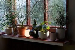 &Tradition Pot De Fleurs Collect SC72, 20 X 24 cm, Argenté 9 &Tradition Pot De Fleurs Collect SC72, 20 X 24 cm, Argenté -Décoration D'Intérieur ATD Retail 2021 Collect nbspPlanter SC70 SC72 Lucca SC51 Collect Vase SC37