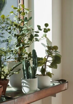 &Tradition Pot De Fleurs Collect SC69, 12 x 13 cm, Lait -Décoration D'Intérieur ATD Retail 2022 Collect Planter SC69 SC72