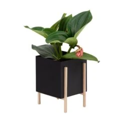 Design House Stockholm Pot Botanic