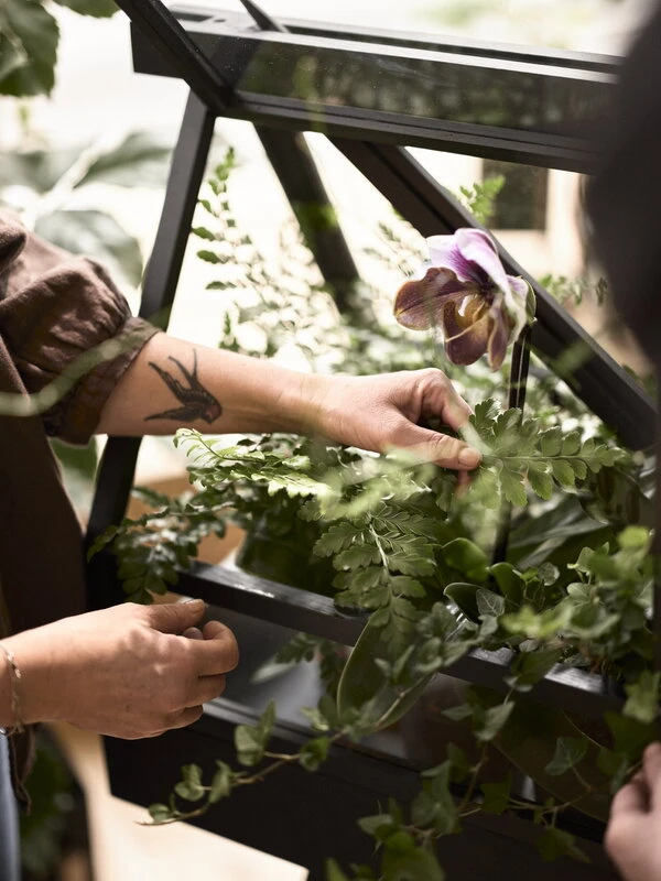 Design House Stockholm Serre Greenhouse, Frêne 2 Design House Stockholm Serre Greenhouse, Frêne – Image 2