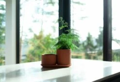 Elementa Pot De Fleurs, Modèle Bas, Terracotta -Décoration D'Intérieur KLset1 1800