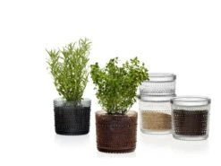 Iittala Pot Kastehelmi 116 X 114 mm, Transparent -Décoration D'Intérieur Kastehelmijargreydesertcleargroup 2 1