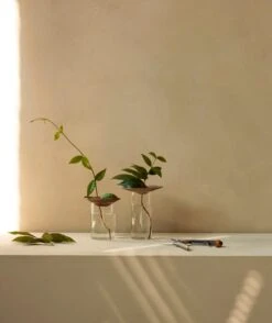 MENU Vase Cresco Propagation, Lot De 2 -Décoration D'Intérieur MENU Cresco Propagation Set 2