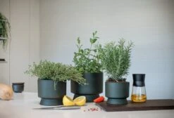 Rosendahl Pot De Fleurs, 15 cm, Vert -Décoration D'Intérieur ROS 20620 20622 RO Flowerpots in kitchen setting 02 300dpi