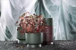 Rosendahl Pot De Fleurs, 15 cm, Vert -Décoration D'Intérieur ROS 20640 20621 20622 Flowerpots five one w plant