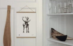Teemu Järvi Illustrations Affiche Reindeer, 30 X 40 cm -Décoration D'Intérieur Reindeer Small Poster Teemu J rvi Illustrations Photo Susanna Vento