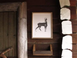 Teemu Järvi Illustrations Affiche Deer, 50 X 70 cm 9 Teemu Järvi Illustrations Affiche Deer, 50 X 70 cm -Décoration D'Intérieur TeemuJarviIllustrations RoeDeer ArtPrintPaper