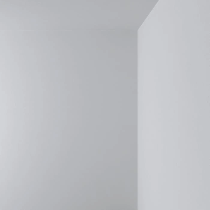 Cover Story Peinture Intérieure, 3,6 L, 014 HARUKI - Pale Cold Grey 6 Cover Story Peinture Intérieure, 3,6 L, 014 HARUKI - Pale Cold Grey – Image 6