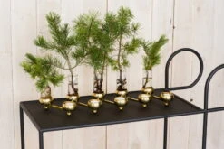 Klong Bougeoir Pour Bougie Chauffe-plat Constella, Laiton -Décoration D'Intérieur julius constella inspiration noresize