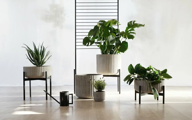 Elementa Pot De Fleurs Klorofyll, Modèle Moyen, Gris 5 Elementa Pot De Fleurs Klorofyll, Modèle Moyen, Gris – Image 5