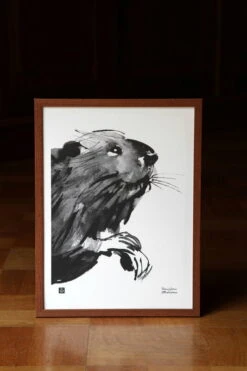 Teemu Järvi Illustrations Affiche Curious Beaver, 30 x 40 cm -Décoration D'Intérieur majava Curious beaver Teemu Jarvi Illustrations photo Teemu Makela