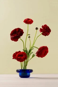 Nedre Foss Bougeoir Pour Bougie Chauffe-plat Sirkel, Bleu Cobalt -Décoration D'Intérieur nI897iHw